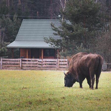 Lesna 21 Dom Polnoc Przy Zalew Siemianowka Villa Luka Exteriör bild